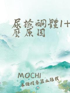 尿检酮体1+什么原因