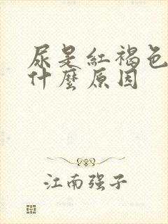 尿是红褐色的是什么原因