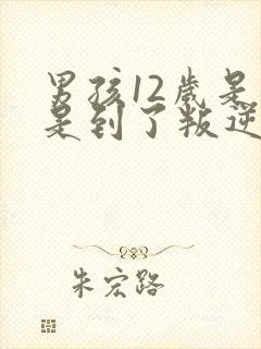 男孩12岁是不是到了叛逆期