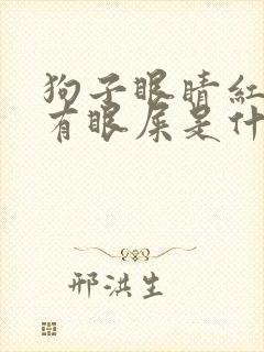 狗子眼睛红流泪有眼屎是什么原因