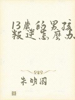 13岁的男孩子叛逆怎么办