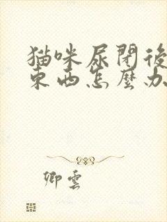 猫咪尿闭后不吃东西怎么办