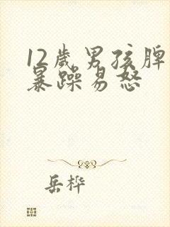 12岁男孩脾气暴躁易怒