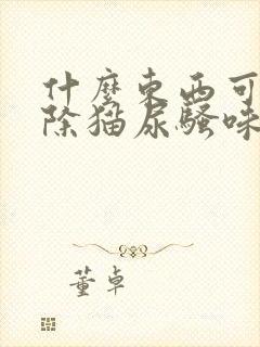 什么东西可以去除猫尿骚味