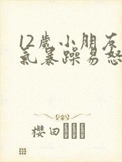 12岁小朋友脾气暴躁易怒怎么办