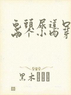 龟头尿道口长了两个小肉芽