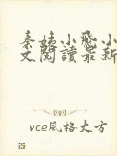 秦姨小飞小说全文阅读最新章节