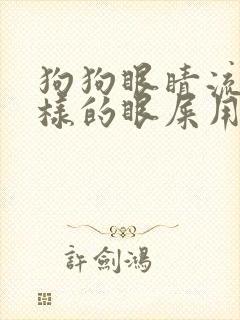 狗狗眼睛流脓一样的眼屎用什么药