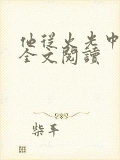 他从火光中走来全文阅读