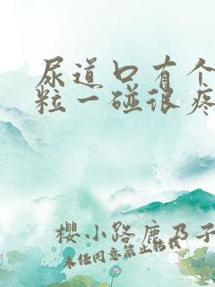 尿道口有个小肉粒一碰很疼