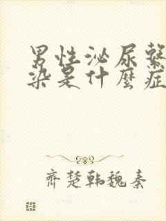 男性泌尿系统感染是什么症状