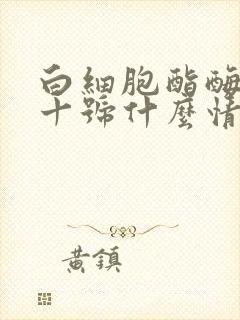 白细胞酯酶阳性十号什么情况