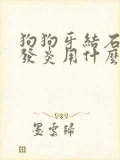 狗狗牙结石牙龈发炎用什么药