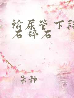 输尿管 下段结石 碎石