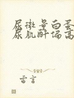 尿微量白蛋白/尿肌酐偏高