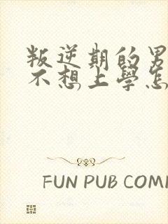 叛逆期的男孩子不想上学怎么办,不想沟通