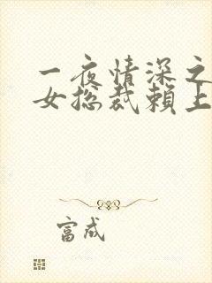 一夜情深之高冷女总裁赖上我