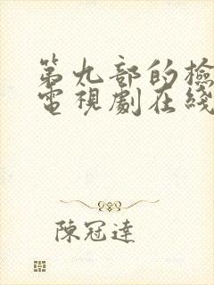 第九部的检察官电视剧在线观看免费