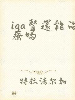 iga肾还能治疗吗