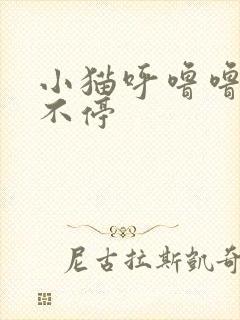 小猫呼噜噜响个不停