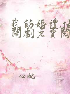 我的婚礼,他的闹剧免费阅读全文