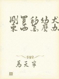 刚买的幼犬不吃东西怎么办