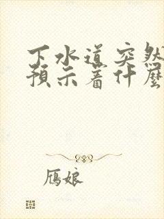 下水道突然反味预示着什么