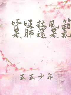 呼吸拉风箱声音是肺还是气管炎