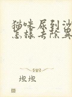 猫咪尿到沙发上怎样去除异味