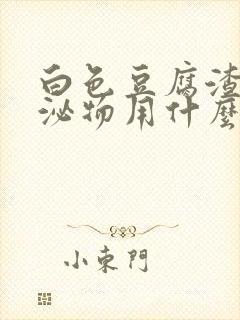 白色豆腐渣状分泌物用什么药