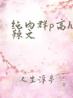 纯肉群p高h性辣文