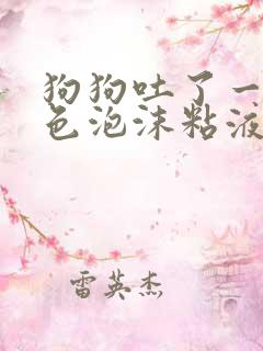 狗狗吐了一滩白色泡沫粘液方法