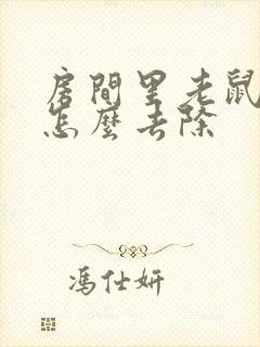 房间里老鼠尿味怎么去除