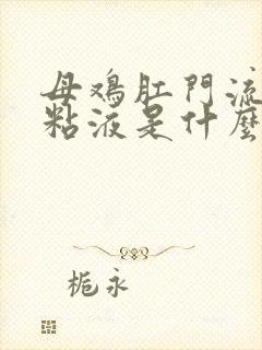 母鸡肛门流白色粘液是什么原因