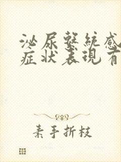 泌尿系统感染的症状表现有哪些