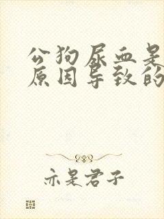 公狗尿血是什么原因导致的怎么办