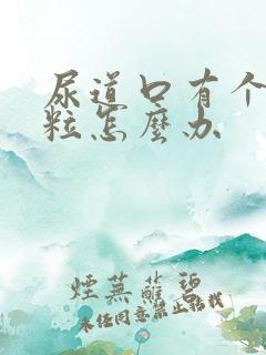 尿道口有个小肉粒怎么办