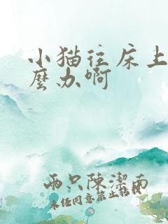 小猫往床上尿怎么办啊