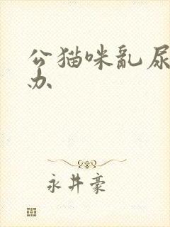 公猫咪乱尿怎么办