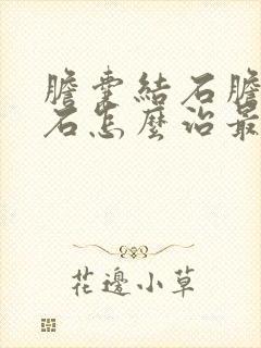 胆囊结石胆管结石怎么治最好