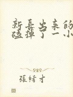 新长出来的门牙磕掉了一小块怎么办