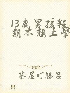 13岁男孩叛逆期不想上学怎么办