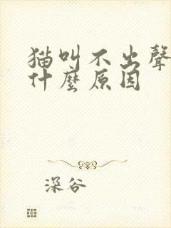 猫叫不出声音是什么原因