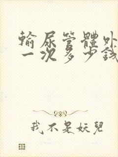 输尿管体外碎石一次多少钱