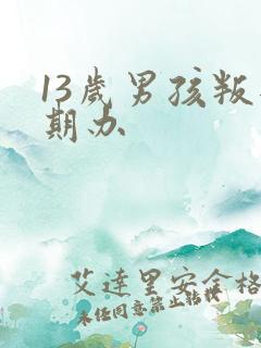 13岁男孩叛逆期办