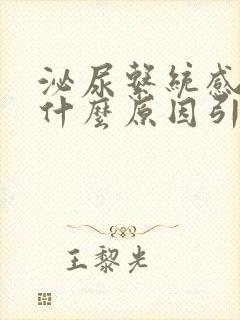 泌尿系统感染是什么原因引起的