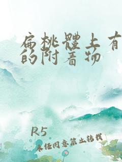 扁桃体上有黄色的附着物