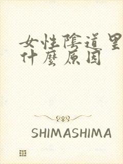 女性阴道里出血什么原因