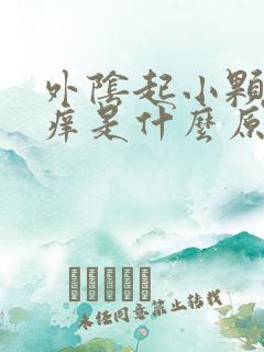 外阴起小颗粒很痒是什么原因