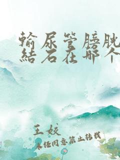 输尿管膀胱内段结石在哪个部位